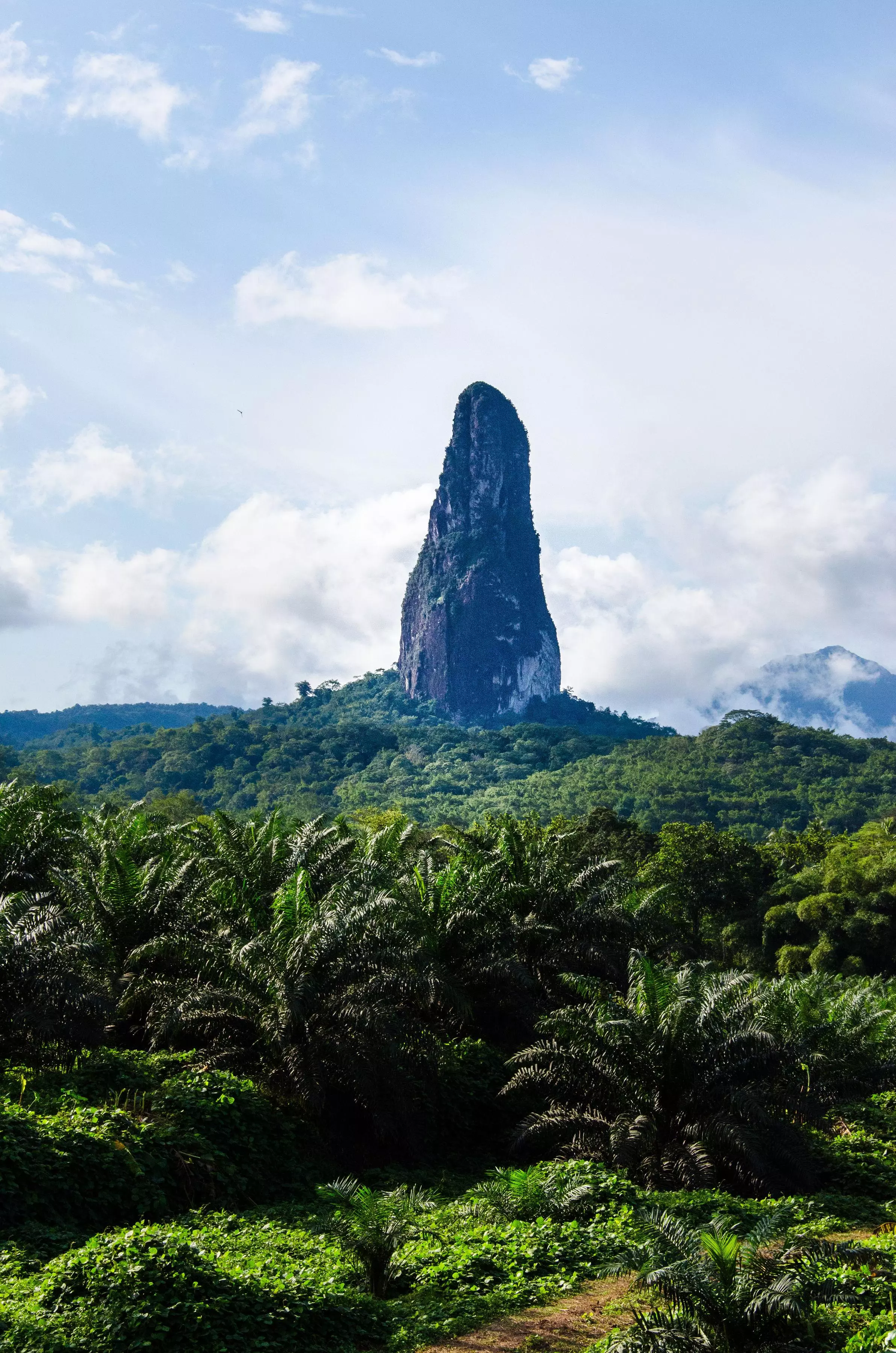 pico cao grande