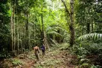 trail randonnée sao tome