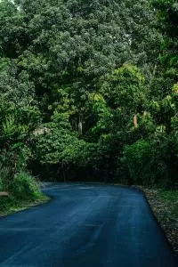 nature